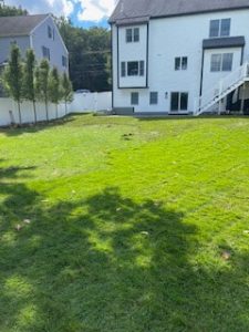 042-Hardscaping-Masonry-Marchi-Paving